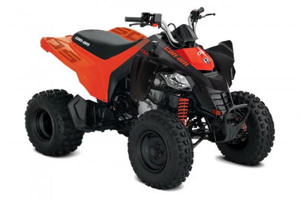 Can-Am DS 250